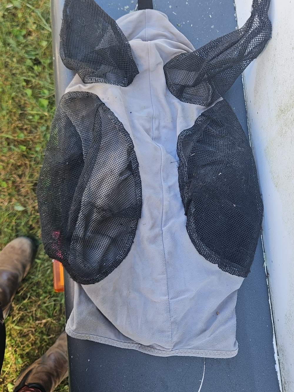 Horse Pony Fly Mask